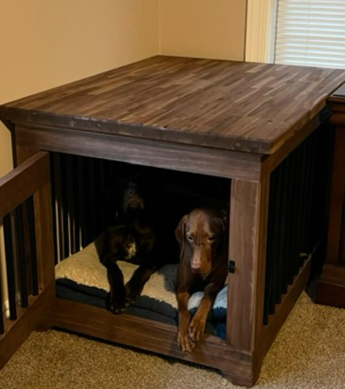 Custom built crate 2